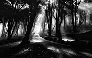 The rider Photograph by Jorge Maia
