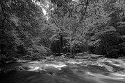 The River Forges On Photograph by Mike Eingle