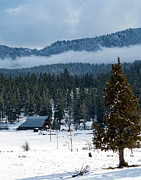 The Satica Ranch Photograph by The Couso Collection