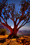 The Scene in many John Wayne Westerns Photograph by David Patterson