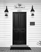 The Sea Conch Key West Florida Photograph by Michelle Constantine