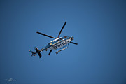 The searcher in the air  Photograph by Torbjorn Swenelius