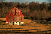 The Simple Life Photograph by Lois Bryan