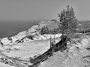 The Sleeping Bears of Sleeping Bear Dunes National Lakeshore Photograph by Digital Photographic Arts