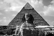 The Sphynx and The Pyramid Photograph by Donna Corless