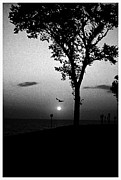 The Spirit of Life Photograph by Frank J Casella