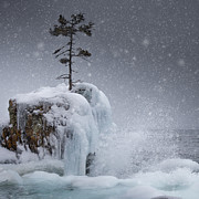 The Tee Harbour Rock Photograph by Jakub Sisak