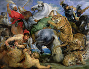 The Tiger Hunt by Rubens Painting by Rubens