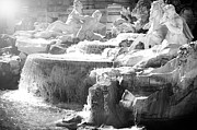 The Trevi fountain detail in Rome Photograph by Stefano Senise