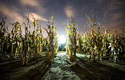 The Visitor Photograph by Aaron J Groen