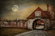The Watcher Photograph by Robin-Lee Vieira