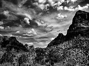 The Watchman, Black and White Photograph by Adam Morsa The Watchman, Black and White Photograph by Adam Morsa