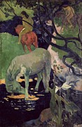The White Horse Painting by Paul Gauguin The White Horse Painting by Paul Gauguin