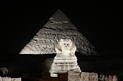 The White Sphynx Photograph by Donna Corless