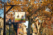 The William Pitt Shop Sign Photograph by Rachel Morrison