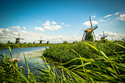 The wind mills of Kinderdjik Photograph by Hannes Cmarits