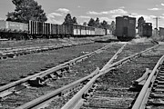 The Yard Photograph by Ron Cline