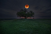 There Will Be Blood Photograph by Aaron J Groen There Will Be Blood Photograph by Aaron J Groen