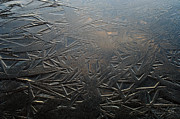 Thin Dusk    Photograph by Doug Gibbons