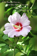 Those That Seek Me Shall Find Me Photograph by Trina Ansel Those That Seek Me Shall Find Me Photograph by Trina Ansel