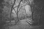 Though It Was So Long Ago Photograph by Laurie Search