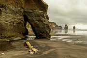 Three Sisters Photograph by Werner Padarin