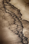 Tidal Mark Abstract Photograph by Cate Franklyn