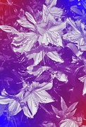 Tie-Dye Azaleas Photograph by Angie Tirado