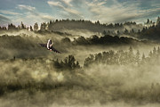 Tiffy In The Mist Digital Art by Airpower Art Tiffy In The Mist Digital Art by Airpower Art