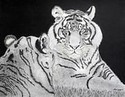 Tigers Drawing by Carol Morris Tigers Drawing by Carol Morris