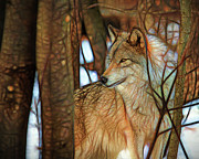 Timber Wolf Colorful Art Photograph by Eleanor Abramson Timber Wolf Colorful Art Photograph by Eleanor Abramson