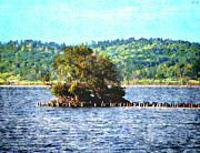Tiny Island of The Big Lake Digital Art by Phil Perkins