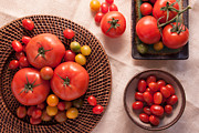 Tomatoes Photograph by Ana V Ramirez