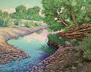 Tonto Creek Painting by Cheryl Fecht