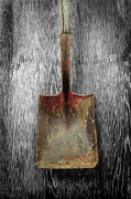 Tools on Wood 3 on BW Plywood Photograph by YoPedro