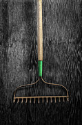 Tools On Wood 9 on BW Photograph by YoPedro