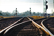 Tracks Photograph by DB Hayes