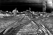 Tracks II - Signed Photograph by DB Hayes