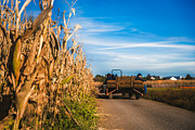 Tractor on the Corn Field Photograph by Alissa Beth Photography