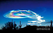 Trail From A Launch In New Mexico Photograph by Frank Zullo