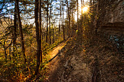 Trail of happiness - Blowing Springs Trail Arkansas Painting by Lourry Legarde Trail of happiness - Blowing Springs Trail Arkansas Painting by Lourry Legarde