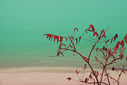 Tranquil View Photograph by Arthur Fix