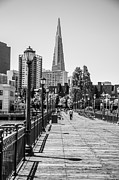 TransAmerica Building Photograph by Lev Kaytsner