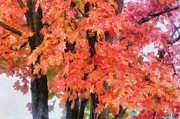 Trees Aflame Painting by Jeffrey Kolker Trees Aflame Painting by Jeffrey Kolker