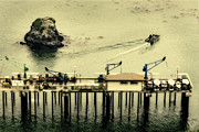Trinidad Pier Photograph by Jon Exley