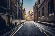 Trinity Lane Photograph by James Billings