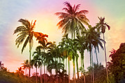 Tropical 11 Photograph by Mark Ashkenazi