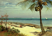 Tropical Coast Painting by Albert Bierstadt