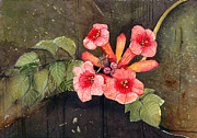 Trumpet Vine II Painting by Katherine Miller