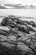 Turnagain Granite Photograph by Tim Newton